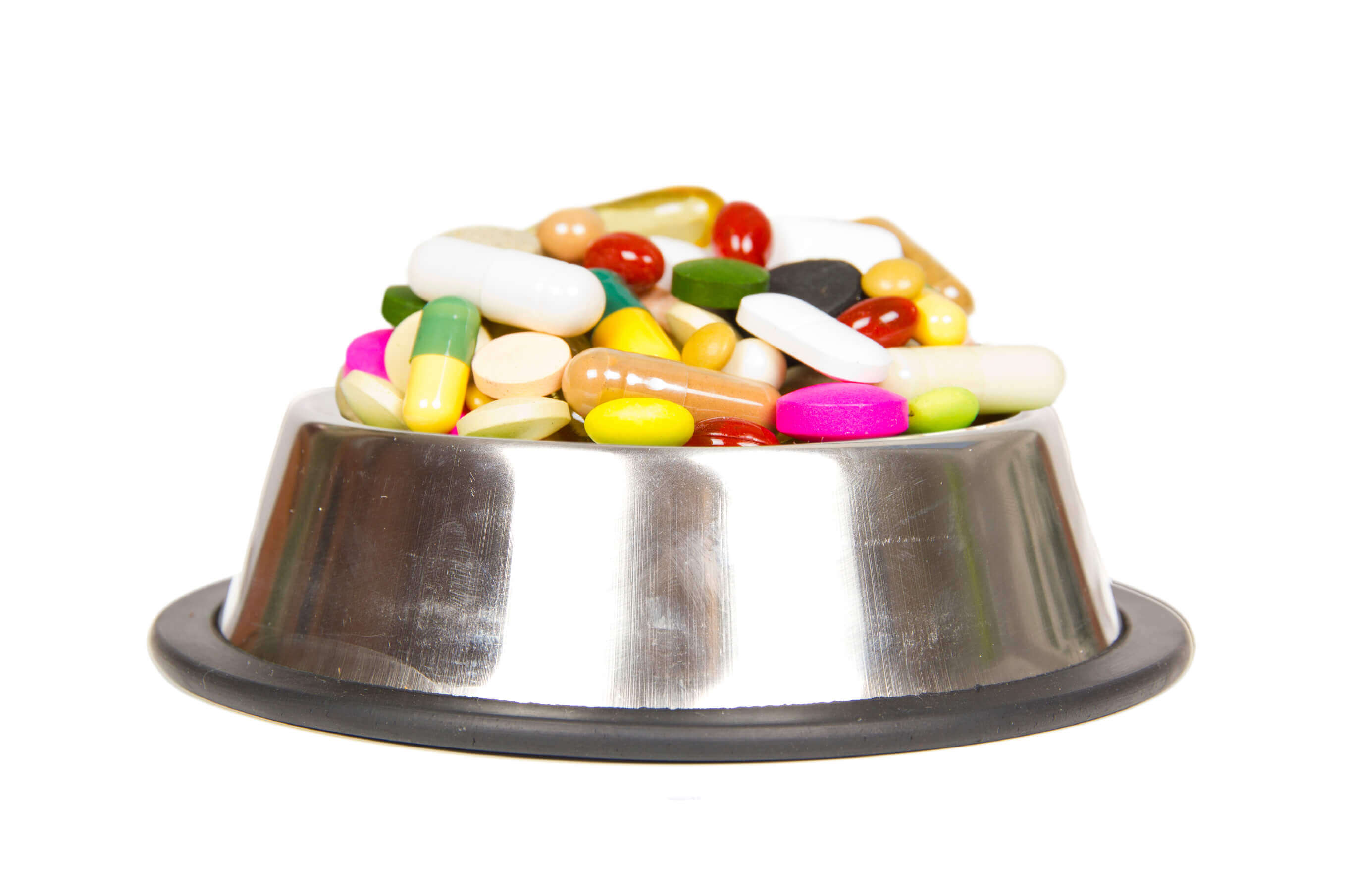 Pet Meds: Avoiding an Adverse Reaction - Veterinarian in Encinitas, CA