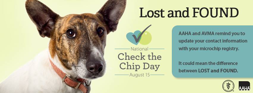 dog chip number search