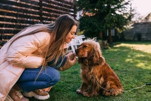 yard and pets