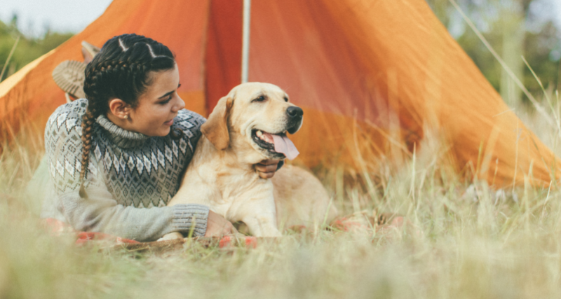 dog camping