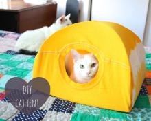 DIY pet projects