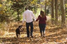 veterinarian in encinitas