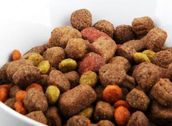 Grain Free Pet Food: Health or Hype?