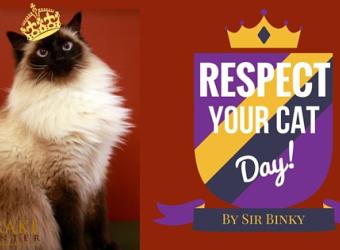 Binky&#039;s Blog: National Respect Your Cat Day